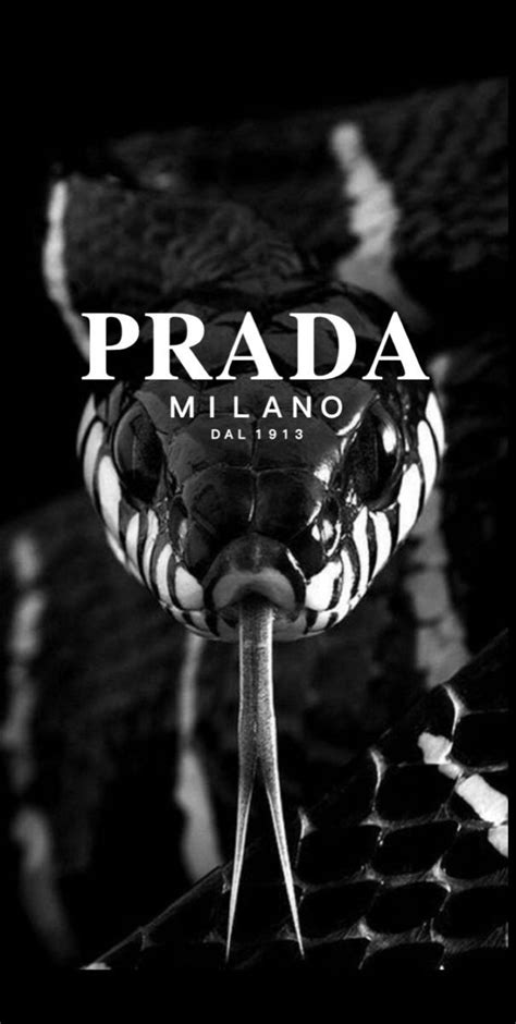 prada hintergrundbild